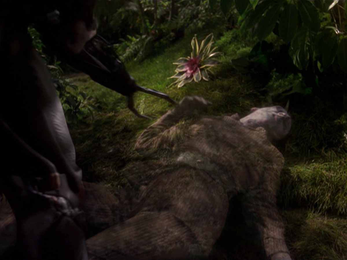 extant_StarTrek_VOY_6x26-UnimatrixZeroPart1_02003.jpg