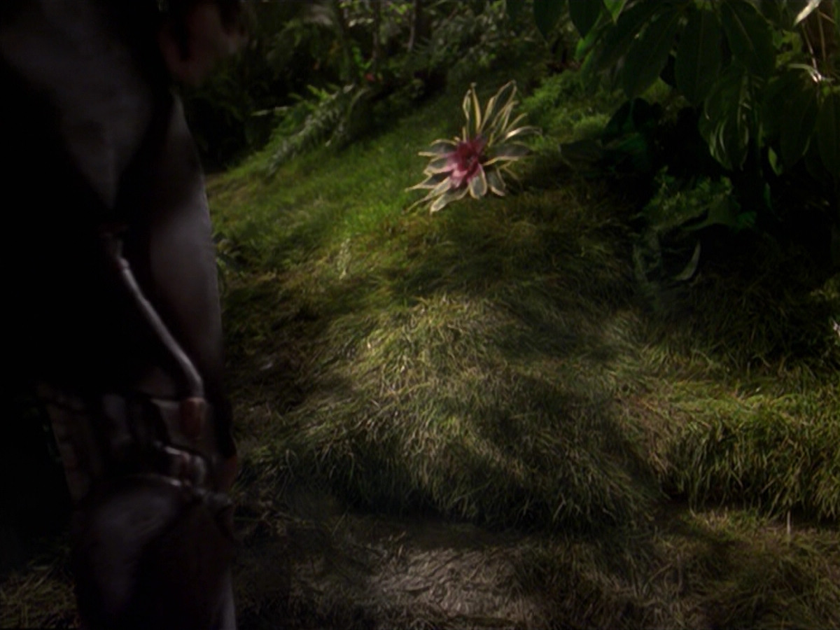 extant_StarTrek_VOY_6x26-UnimatrixZeroPart1_02004.jpg