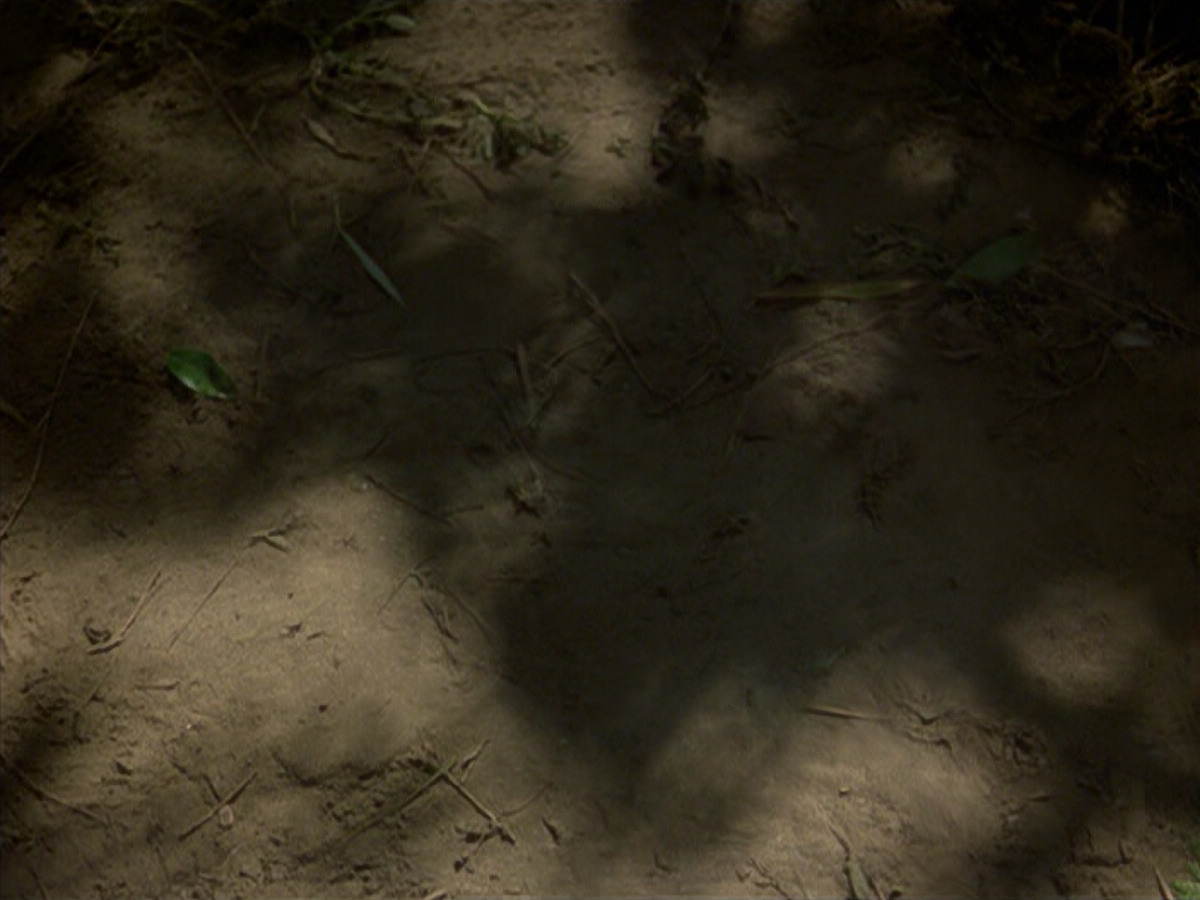 extant_StarTrek_VOY_6x26-UnimatrixZeroPart1_02041.jpg