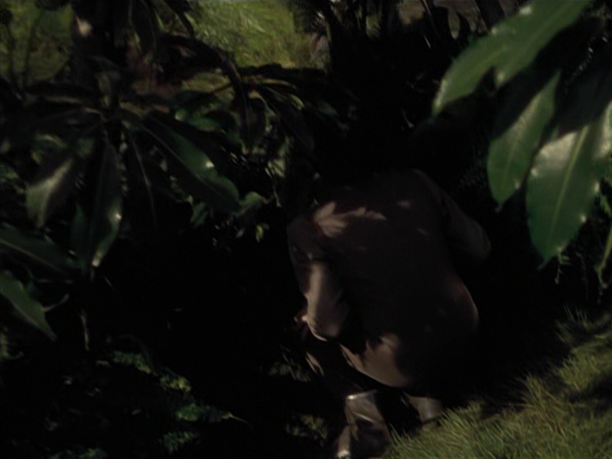 extant_StarTrek_VOY_6x26-UnimatrixZeroPart1_02059.jpg