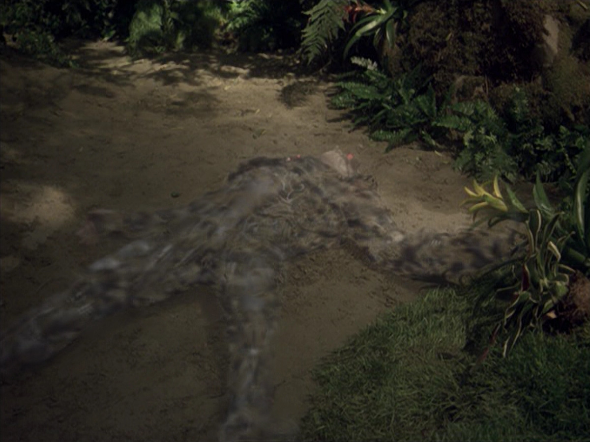 extant_StarTrek_VOY_6x26-UnimatrixZeroPart1_02074.jpg
