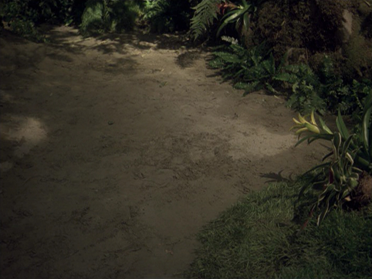 extant_StarTrek_VOY_6x26-UnimatrixZeroPart1_02075.jpg