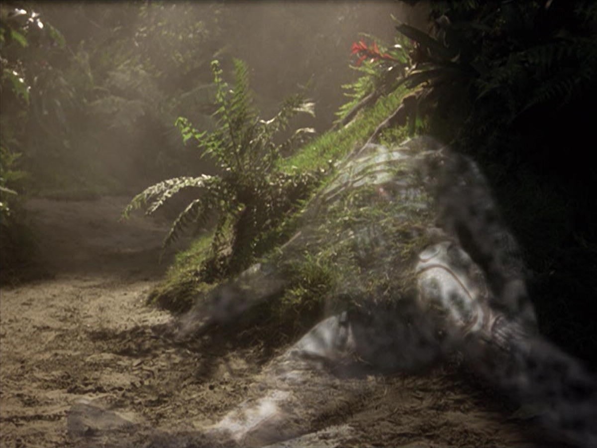 extant_StarTrek_VOY_6x26-UnimatrixZeroPart1_02108.jpg