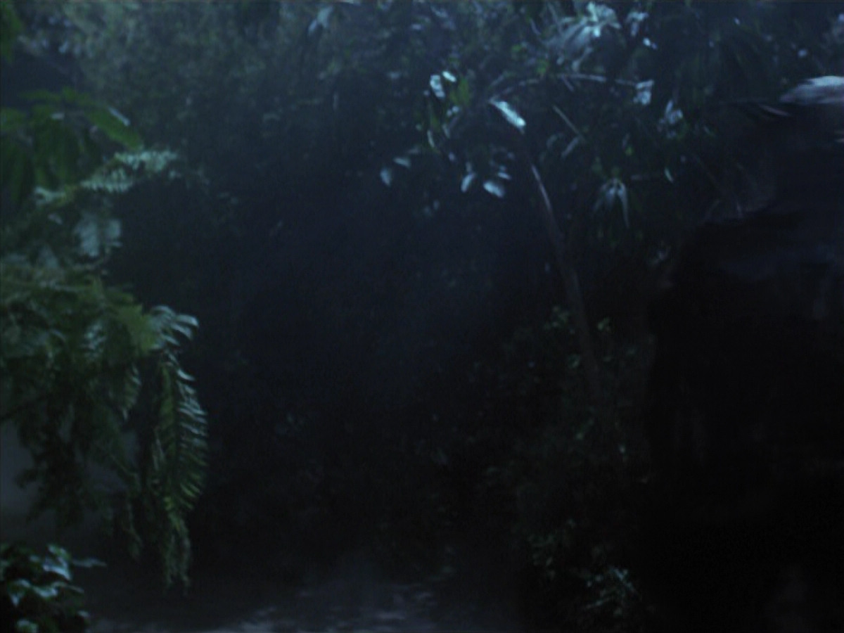 extant_StarTrek_VOY_6x26-UnimatrixZeroPart1_02531.jpg