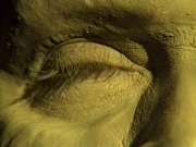 Filename=extant_StarTrek_VOY_6x26-UnimatrixZeroPart1_00052.jpg
Filesize=227KiB
Dimensions=1200x900
Date added=Jan 03, 2020 extant_StarTrek_VOY_6x26-UnimatrixZeroPart1_00052.jpg