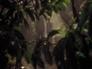 Filename=extant_StarTrek_VOY_6x26-UnimatrixZeroPart1_00456.jpg
Filesize=182KiB
Dimensions=1200x900
Date added=Jan 03, 2020 extant_StarTrek_VOY_6x26-UnimatrixZeroPart1_00456.jpg