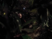 extant_StarTrek_VOY_6x26-UnimatrixZeroPart1_01957.jpg