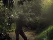 extant_StarTrek_VOY_6x26-UnimatrixZeroPart1_01966.jpg