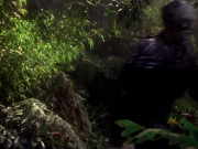 extant_StarTrek_VOY_6x26-UnimatrixZeroPart1_02027.jpg