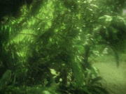 extant_StarTrek_VOY_6x26-UnimatrixZeroPart1_02056.jpg