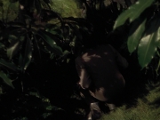 extant_StarTrek_VOY_6x26-UnimatrixZeroPart1_02059.jpg