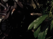 extant_StarTrek_VOY_6x26-UnimatrixZeroPart1_02065.jpg
