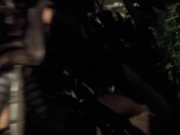 extant_StarTrek_VOY_6x26-UnimatrixZeroPart1_02066.jpg