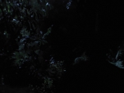Filename=extant_StarTrek_VOY_6x26-UnimatrixZeroPart1_02480.jpg
Filesize=89KiB
Dimensions=1200x900
Date added=Jan 03, 2020 extant_StarTrek_VOY_6x26-UnimatrixZeroPart1_02480.jpg