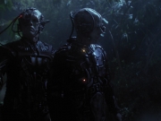 extant_StarTrek_VOY_6x26-UnimatrixZeroPart1_02519.jpg