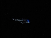 Filename=extant_StarTrek_VOY_6x26-UnimatrixZeroPart1_02651.jpg
Filesize=44KiB
Dimensions=1200x900
Date added=Jan 03, 2020 extant_StarTrek_VOY_6x26-UnimatrixZeroPart1_02651.jpg
