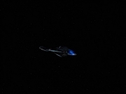 extant_StarTrek_VOY_6x26-UnimatrixZeroPart1_02652.jpg