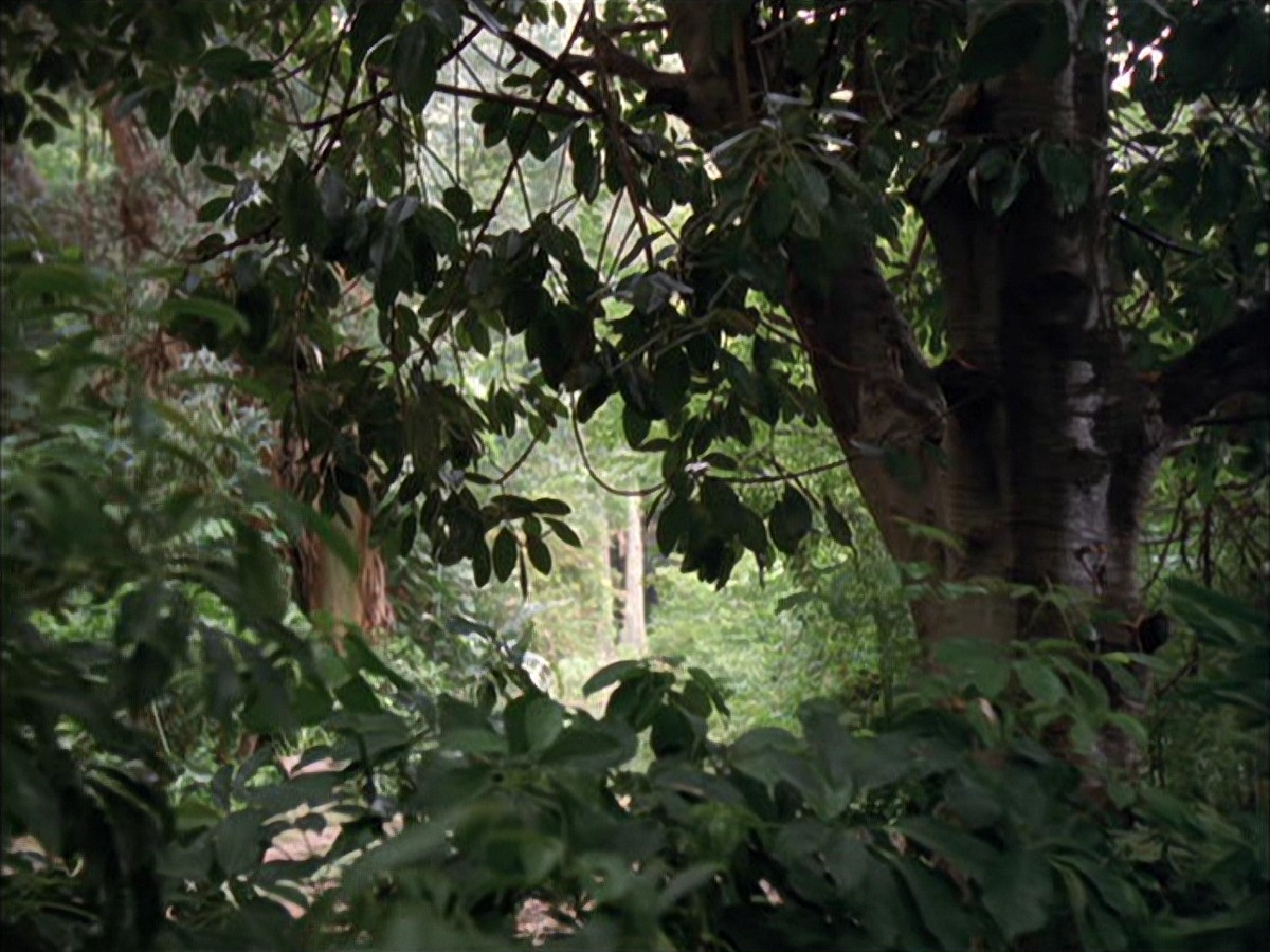 extant_StarTrek_VOY_7x09_7x10-FleshAndBlood_0003.jpg