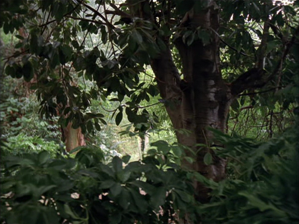extant_StarTrek_VOY_7x09_7x10-FleshAndBlood_0005.jpg