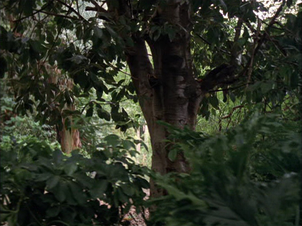 extant_StarTrek_VOY_7x09_7x10-FleshAndBlood_0006.jpg