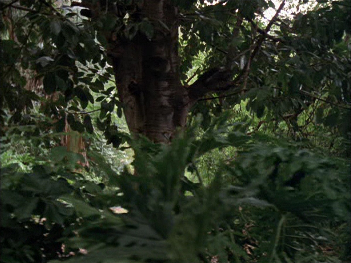 extant_StarTrek_VOY_7x09_7x10-FleshAndBlood_0007.jpg