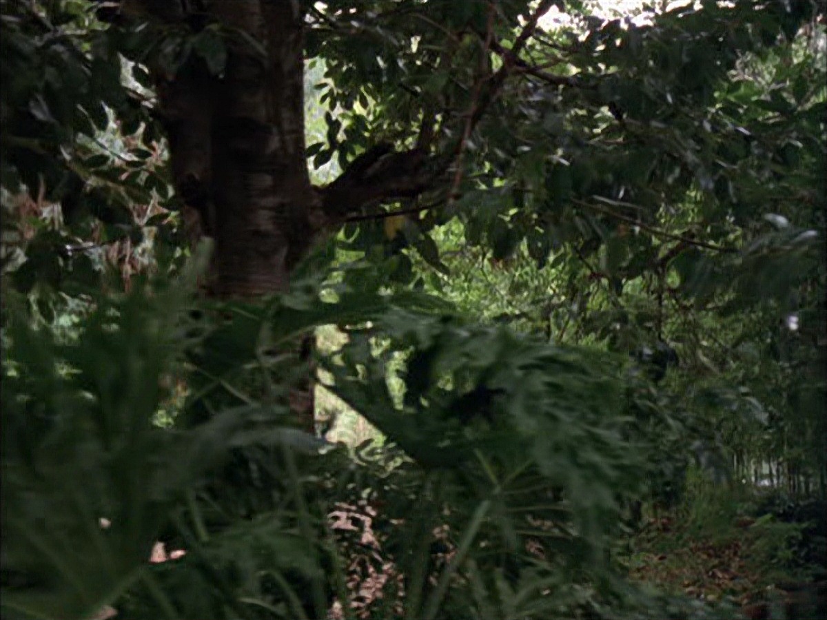 extant_StarTrek_VOY_7x09_7x10-FleshAndBlood_0008.jpg