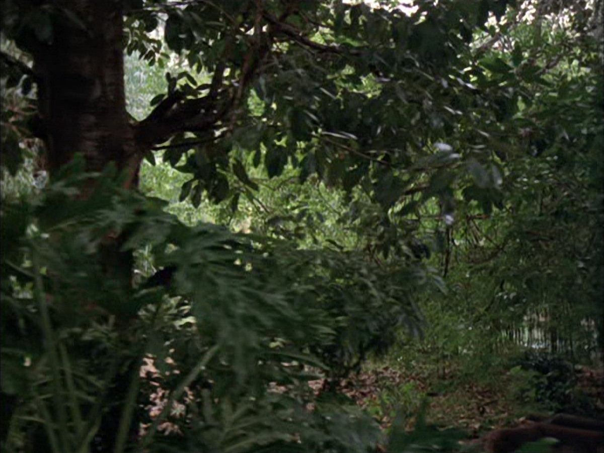extant_StarTrek_VOY_7x09_7x10-FleshAndBlood_0009.jpg