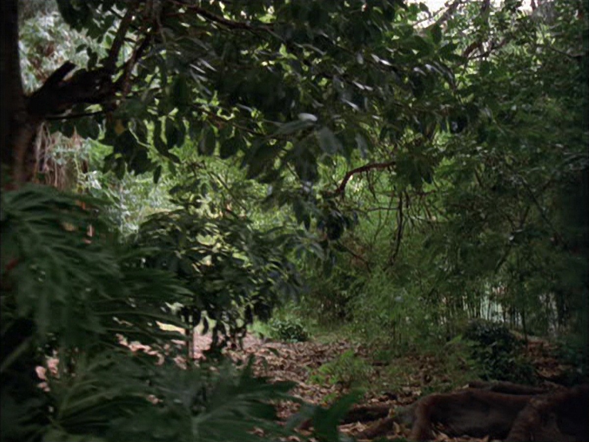 extant_StarTrek_VOY_7x09_7x10-FleshAndBlood_0010.jpg