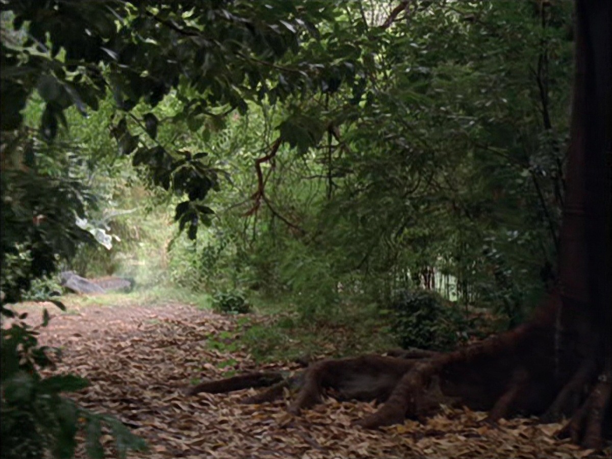 extant_StarTrek_VOY_7x09_7x10-FleshAndBlood_0012.jpg