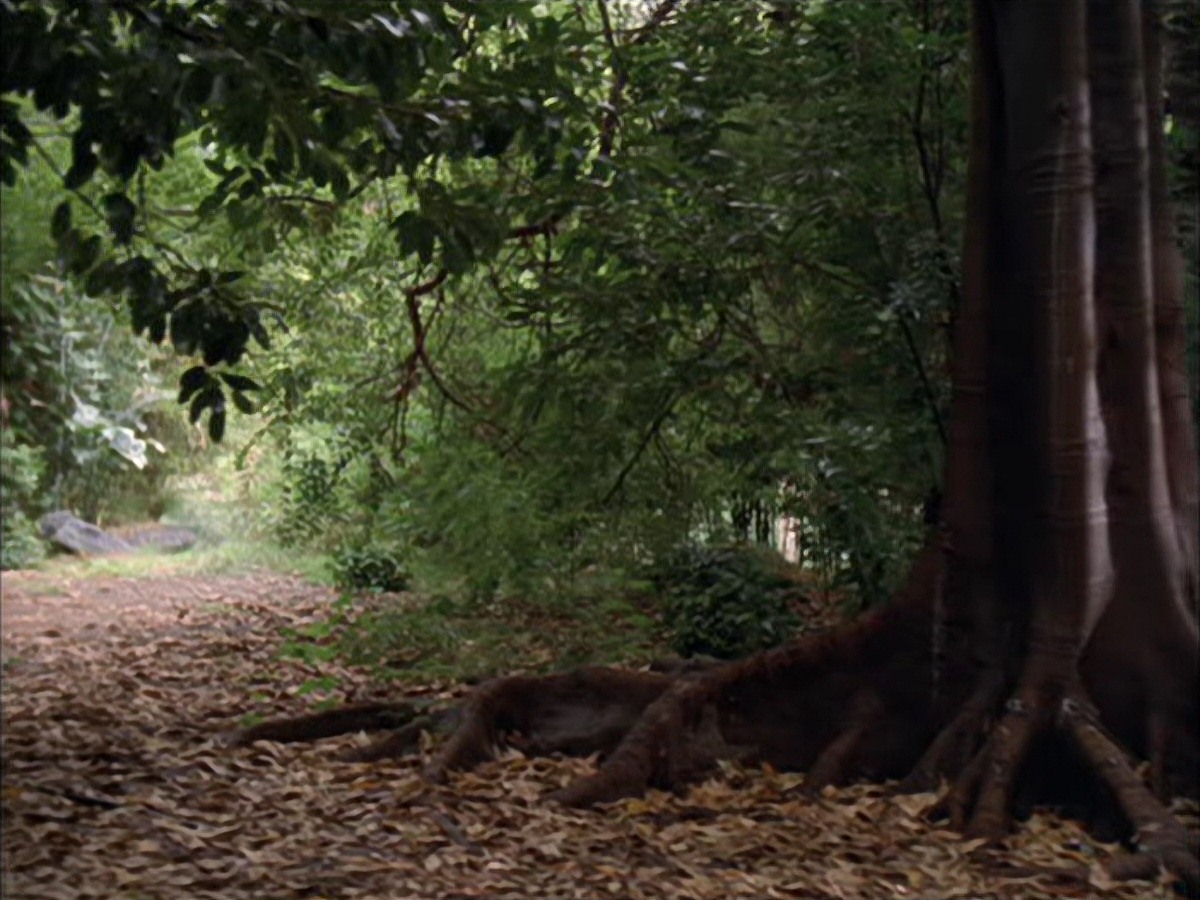 extant_StarTrek_VOY_7x09_7x10-FleshAndBlood_0013.jpg