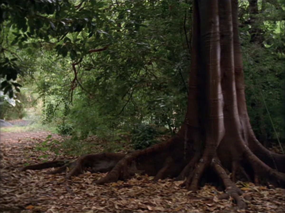 extant_StarTrek_VOY_7x09_7x10-FleshAndBlood_0014.jpg