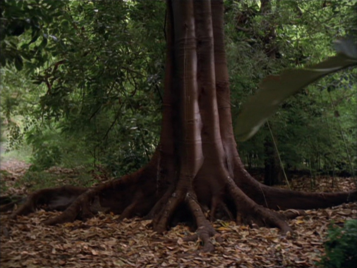 extant_StarTrek_VOY_7x09_7x10-FleshAndBlood_0016.jpg