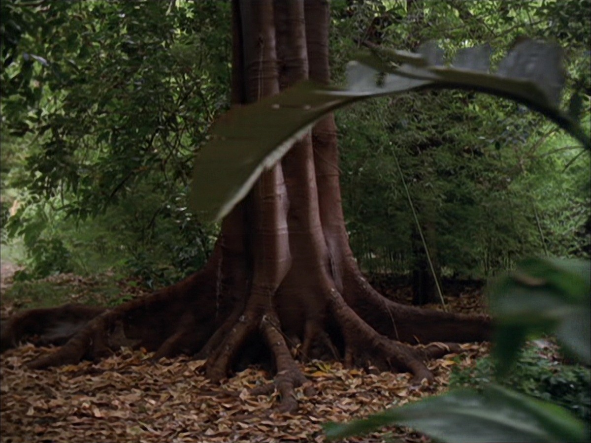 extant_StarTrek_VOY_7x09_7x10-FleshAndBlood_0017.jpg