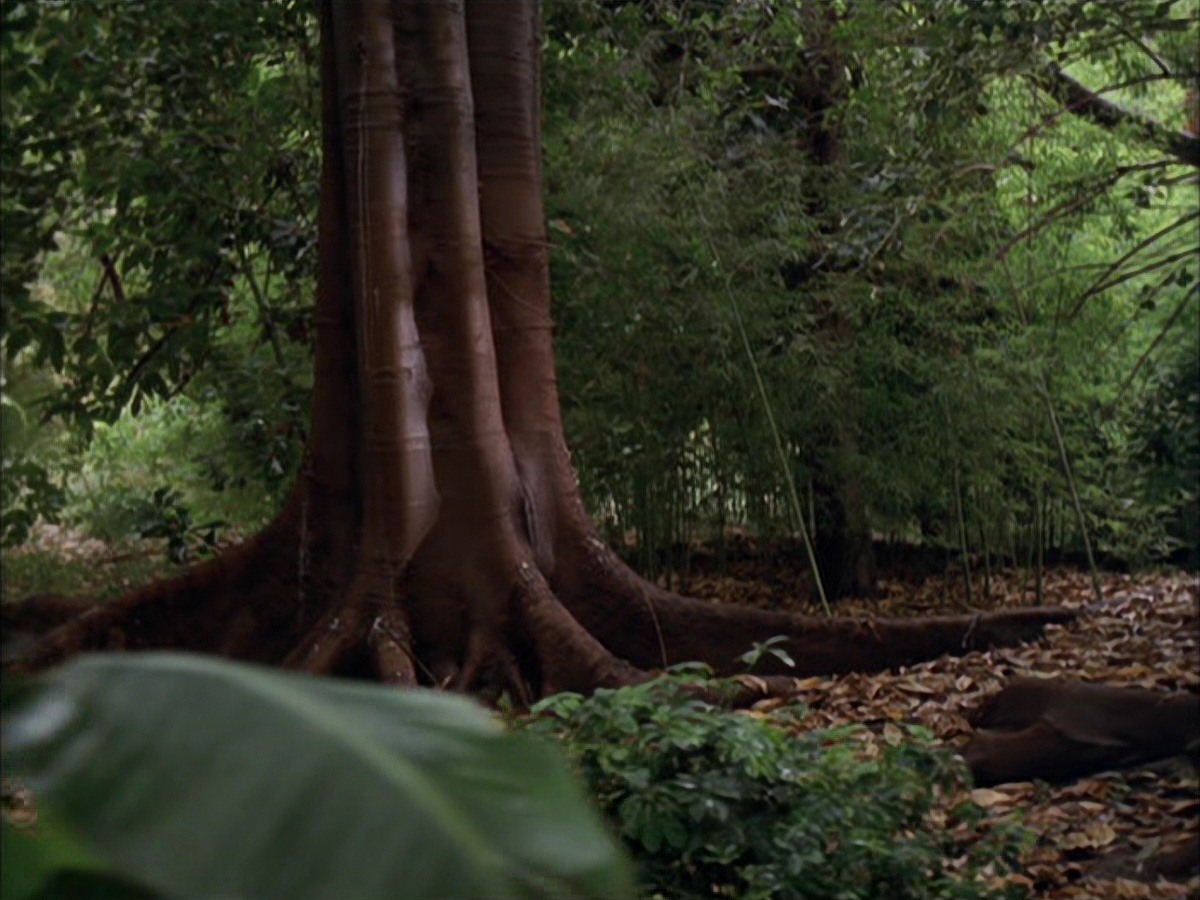 extant_StarTrek_VOY_7x09_7x10-FleshAndBlood_0020.jpg