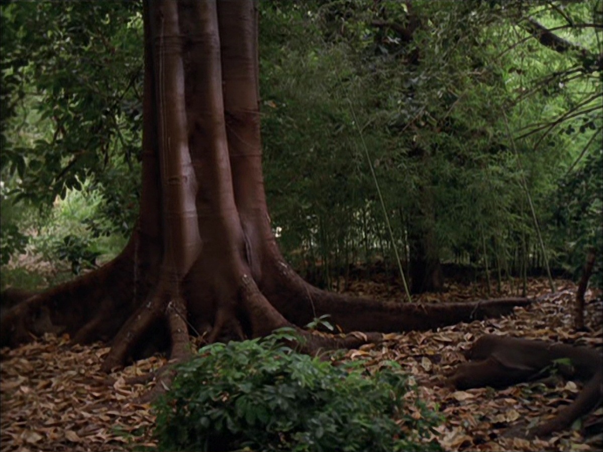 extant_StarTrek_VOY_7x09_7x10-FleshAndBlood_0021.jpg