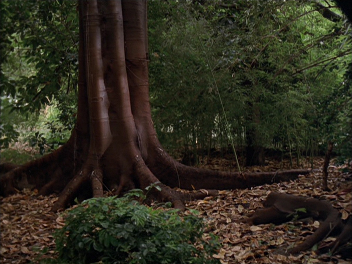 extant_StarTrek_VOY_7x09_7x10-FleshAndBlood_0022.jpg