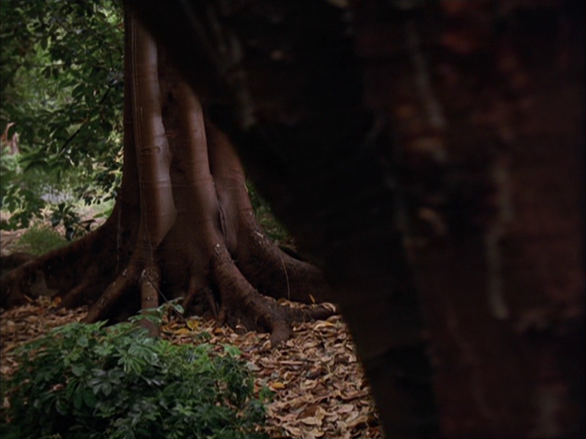 extant_StarTrek_VOY_7x09_7x10-FleshAndBlood_0024.jpg