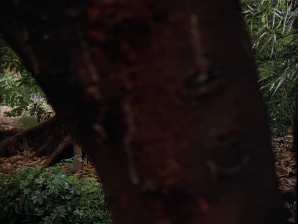 extant_StarTrek_VOY_7x09_7x10-FleshAndBlood_0025.jpg