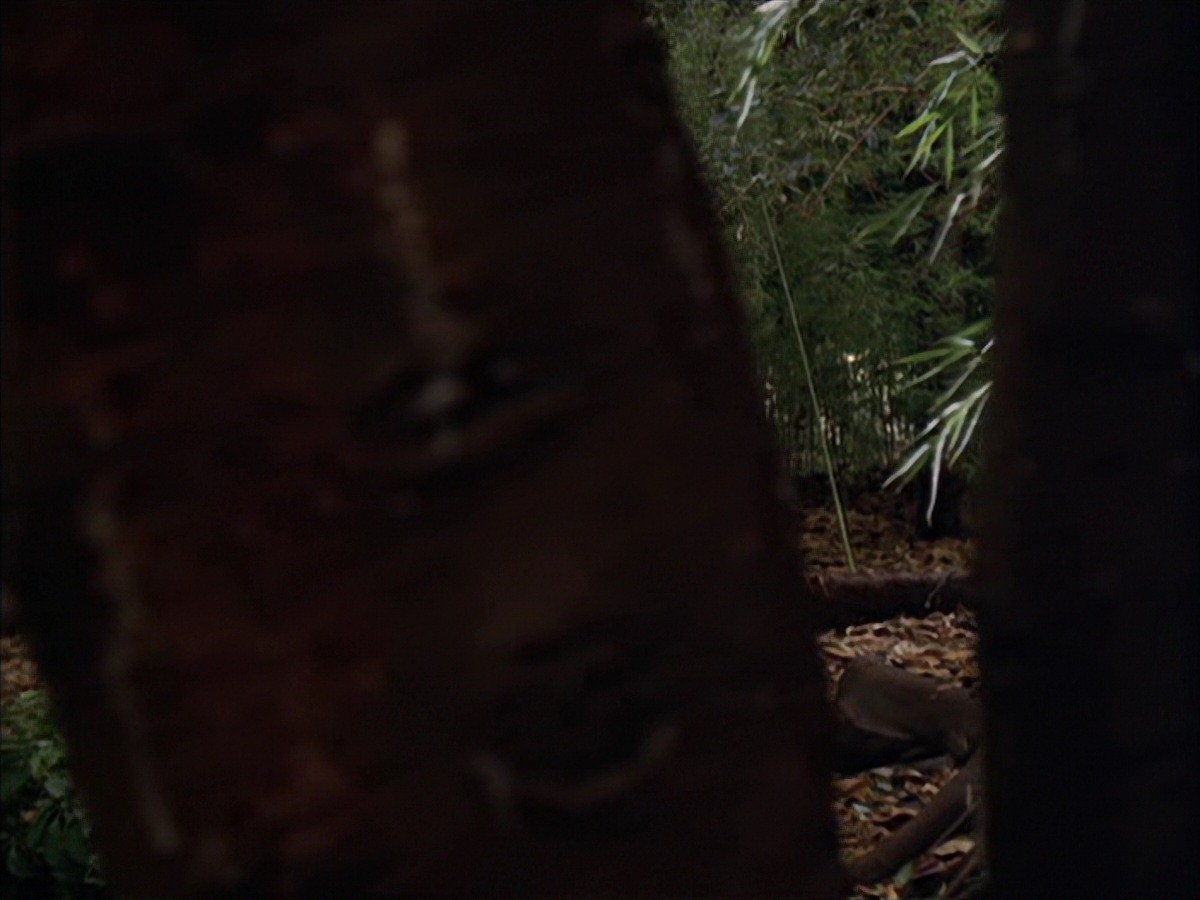 extant_StarTrek_VOY_7x09_7x10-FleshAndBlood_0026.jpg