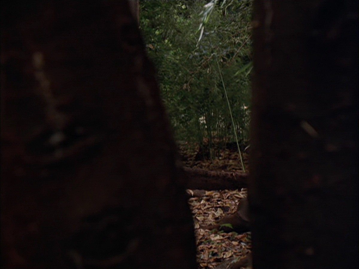 extant_StarTrek_VOY_7x09_7x10-FleshAndBlood_0027.jpg