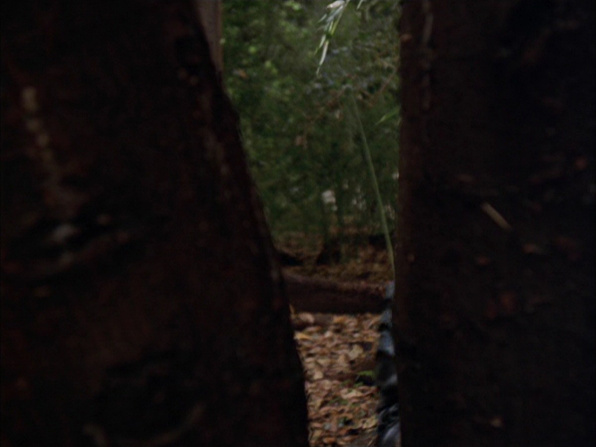 extant_StarTrek_VOY_7x09_7x10-FleshAndBlood_0028.jpg