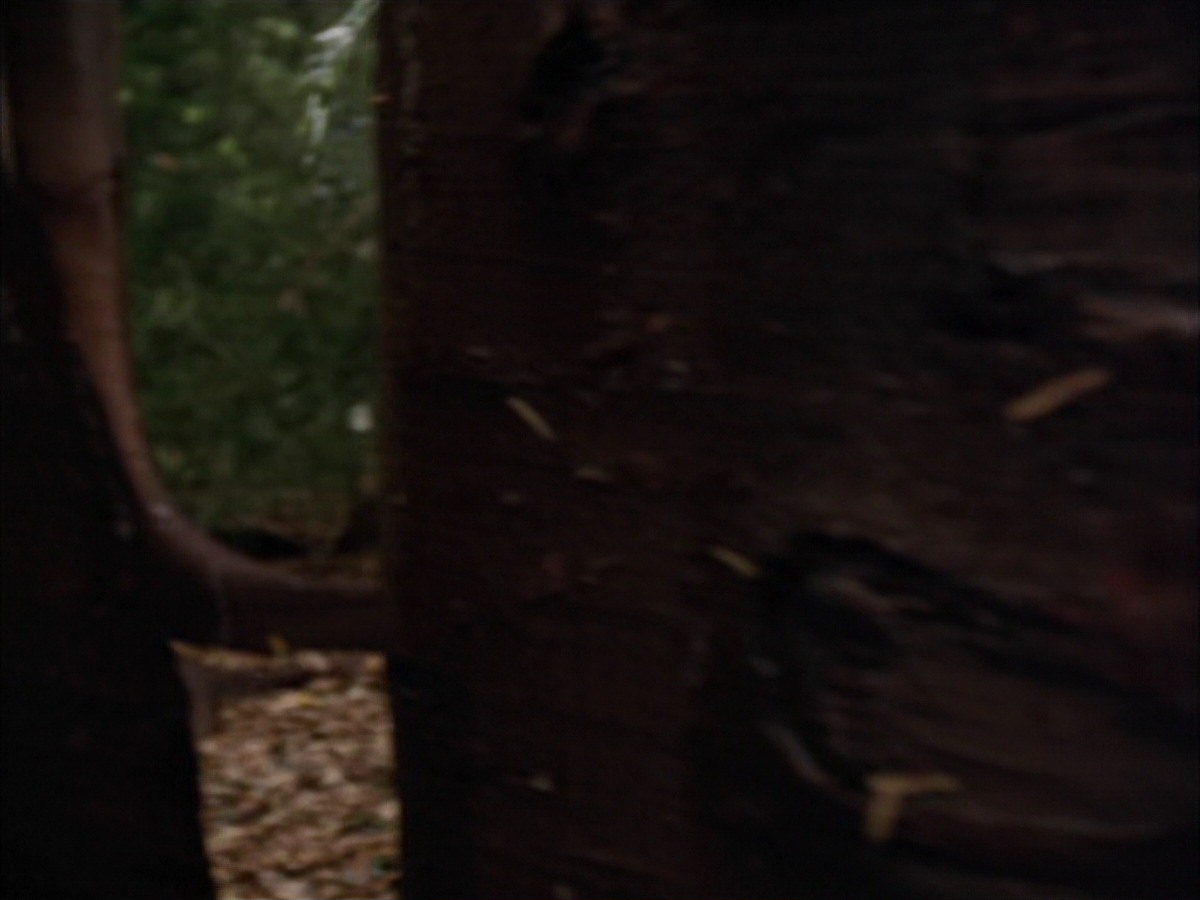 extant_StarTrek_VOY_7x09_7x10-FleshAndBlood_0035.jpg