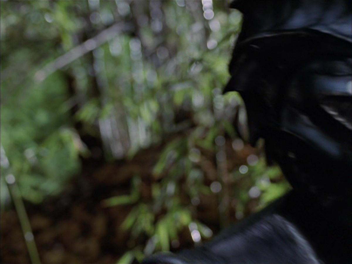 extant_StarTrek_VOY_7x09_7x10-FleshAndBlood_0081.jpg