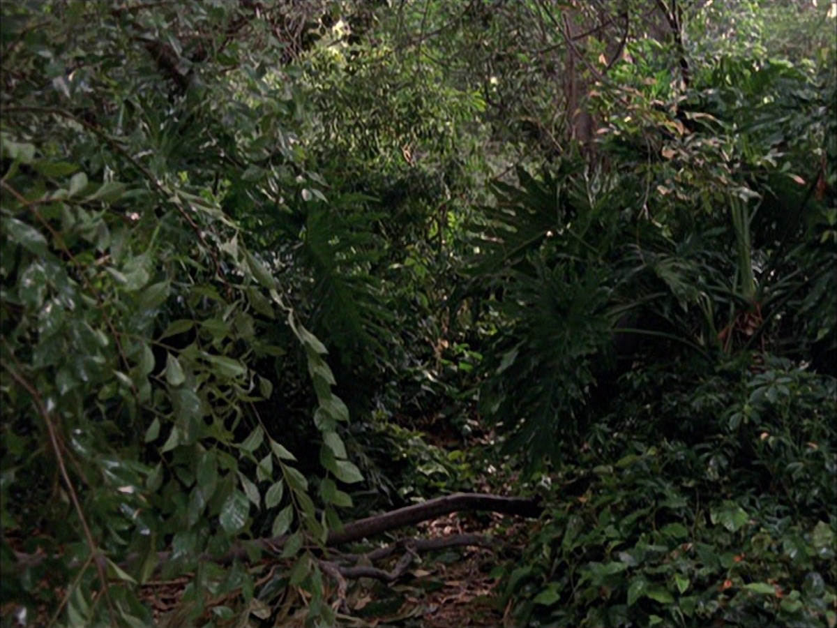 extant_StarTrek_VOY_7x09_7x10-FleshAndBlood_0095.jpg