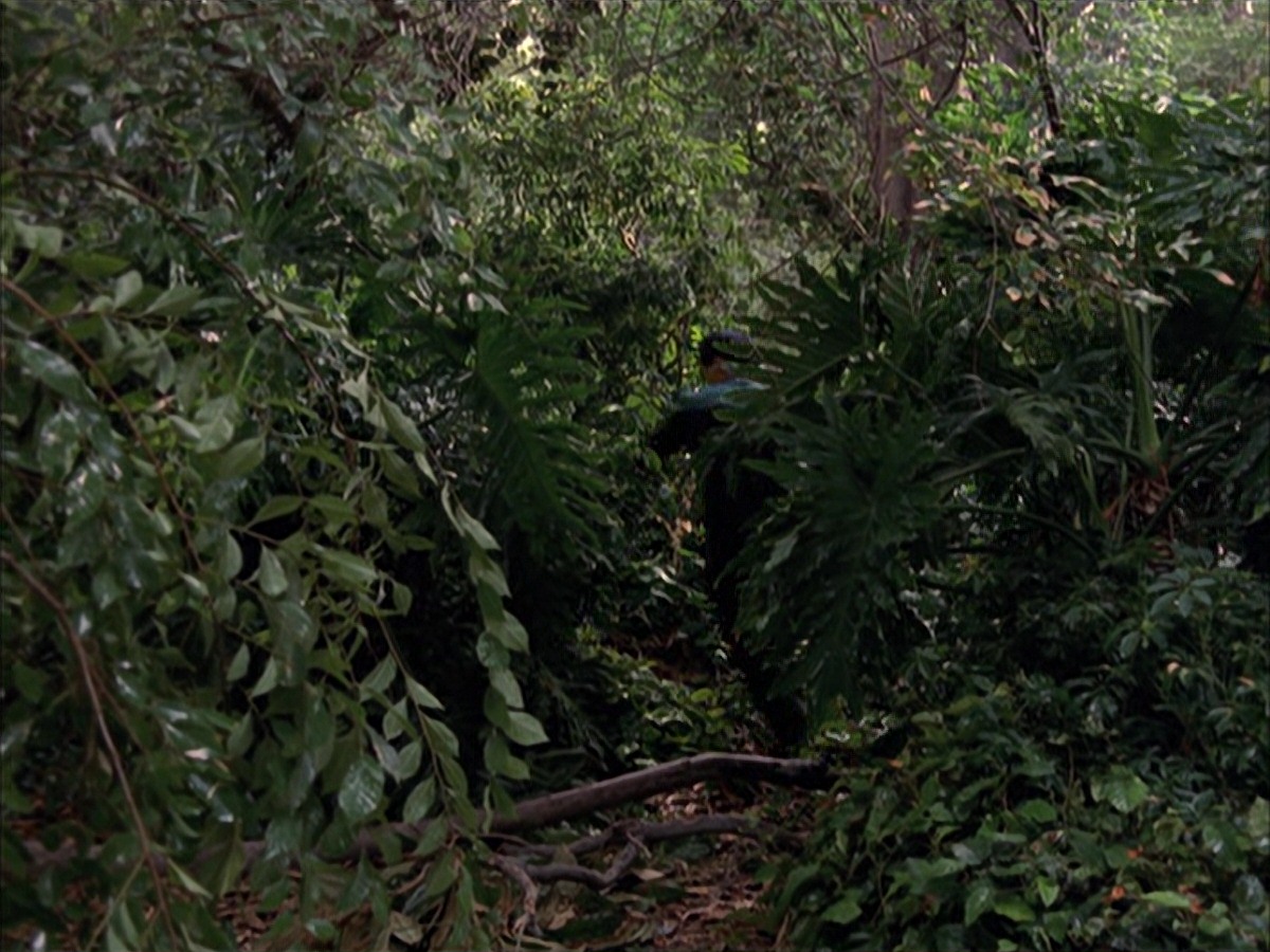 extant_StarTrek_VOY_7x09_7x10-FleshAndBlood_0096.jpg