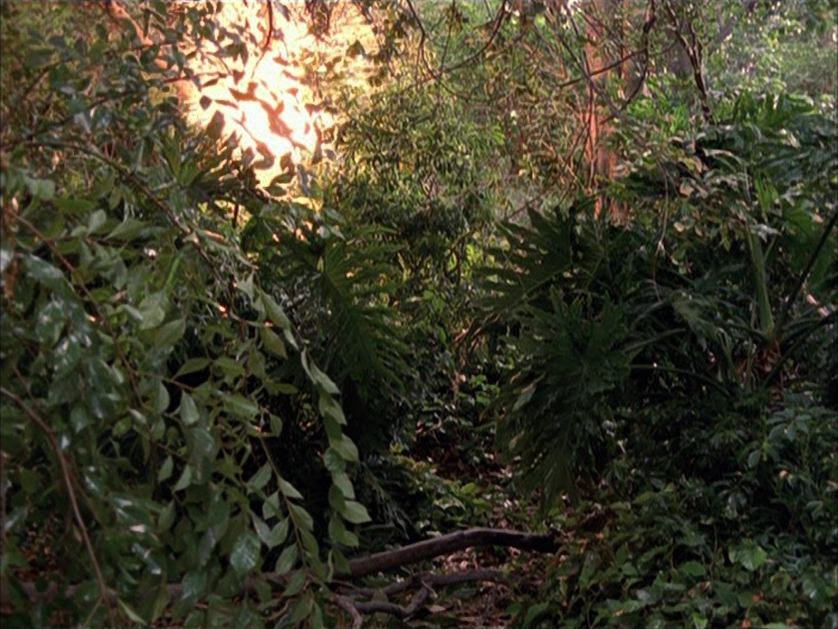 extant_StarTrek_VOY_7x09_7x10-FleshAndBlood_0099.jpg