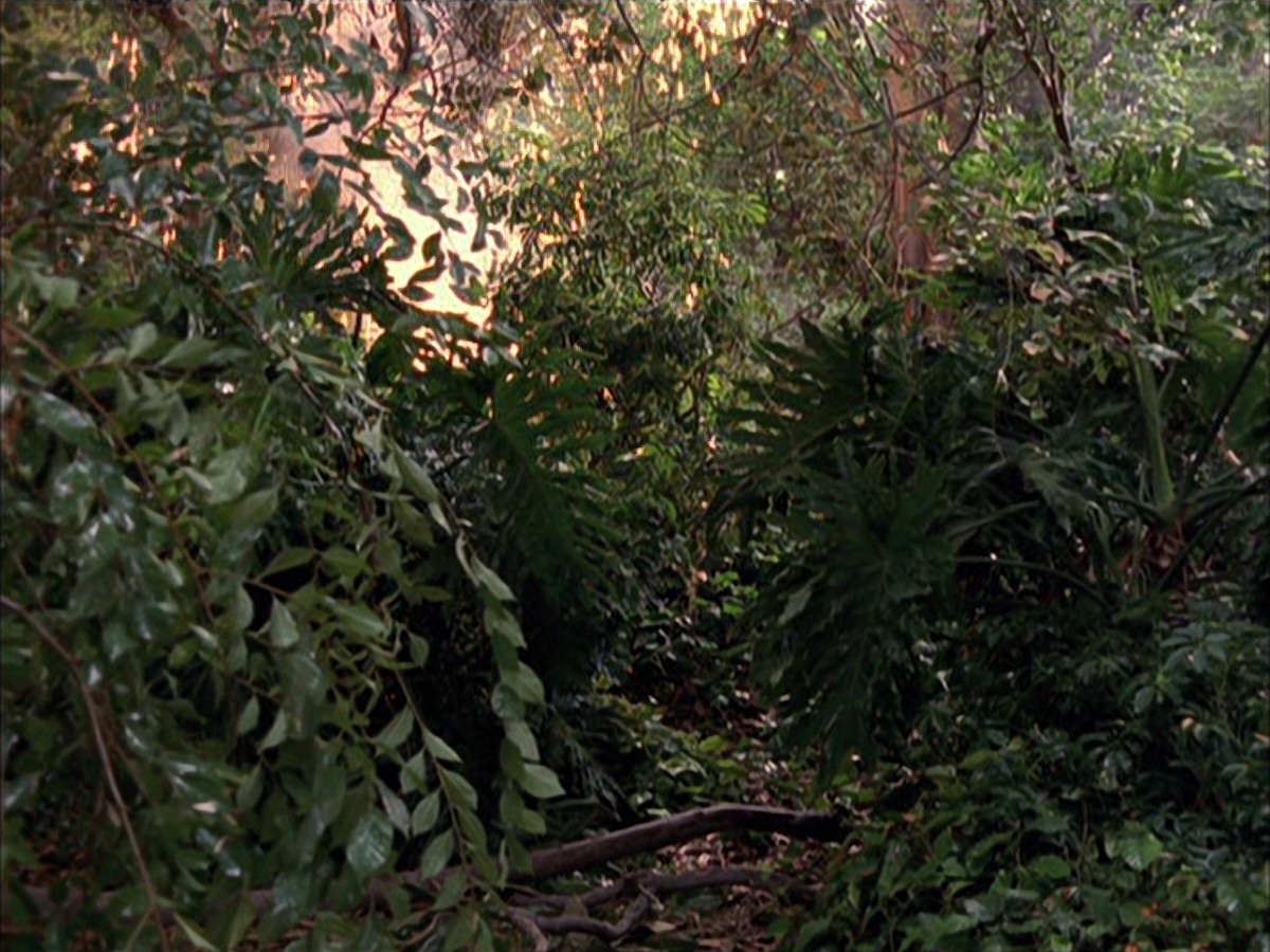 extant_StarTrek_VOY_7x09_7x10-FleshAndBlood_0100.jpg
