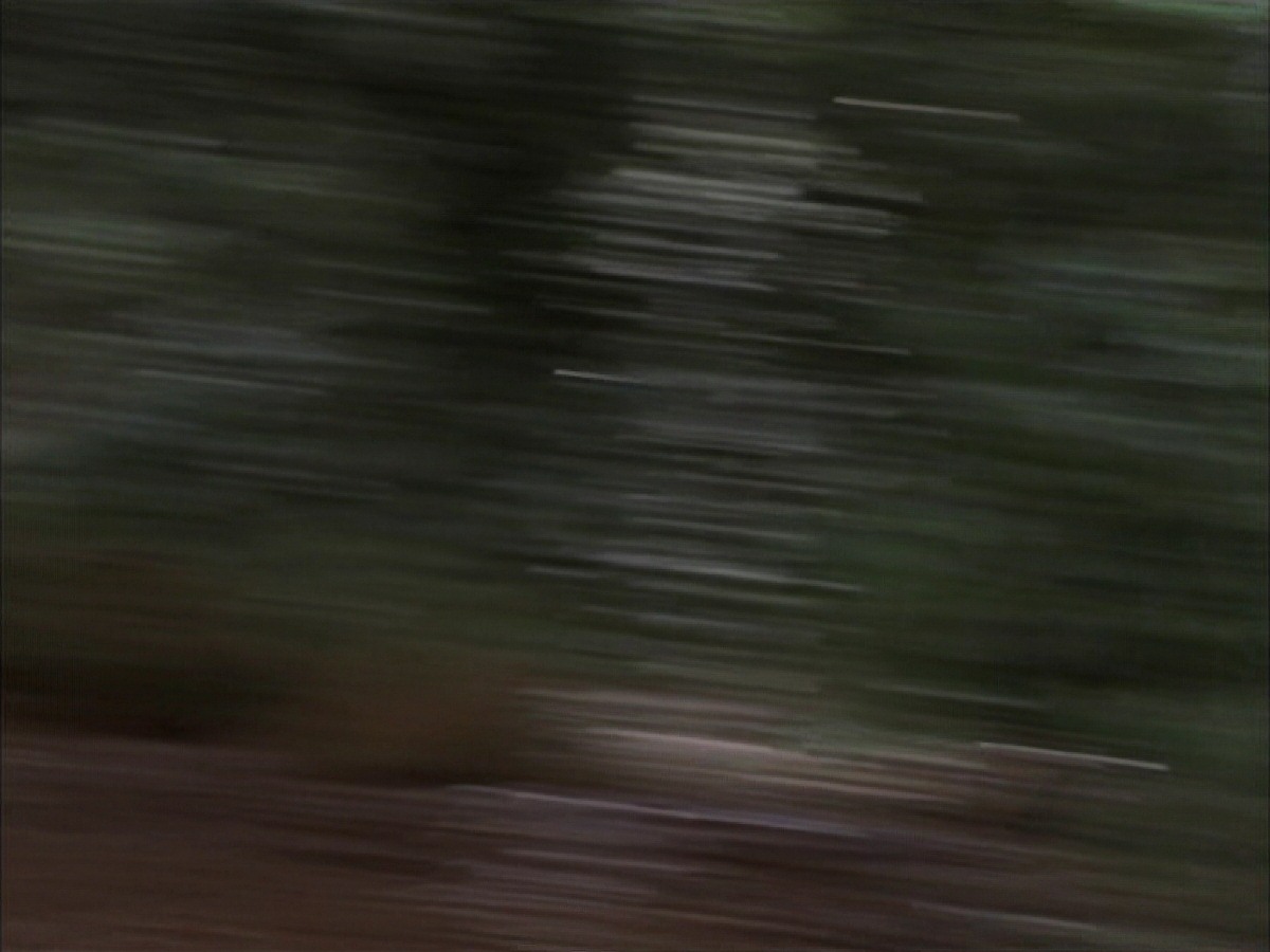 extant_StarTrek_VOY_7x09_7x10-FleshAndBlood_0118.jpg