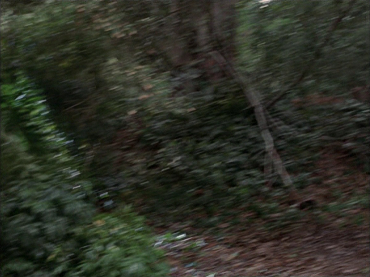 extant_StarTrek_VOY_7x09_7x10-FleshAndBlood_0120.jpg