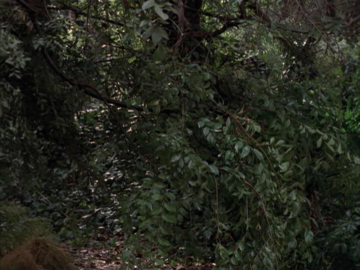 extant_StarTrek_VOY_7x09_7x10-FleshAndBlood_0124.jpg